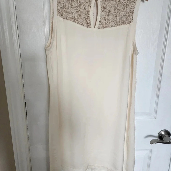 Dalia  Womens Dress Sleevless Lace Zipper on Back Lined Size 8 M - Picture 2 of 8